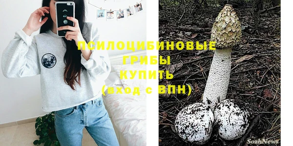 сатива Волосово